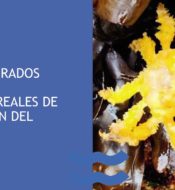 libro-marino-portada